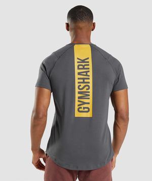 Black Grey Gymshark Bold Men's T Shirts | RQIGBC493