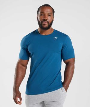 Blue Gymshark Essential Men's T Shirts | XQUAMT193