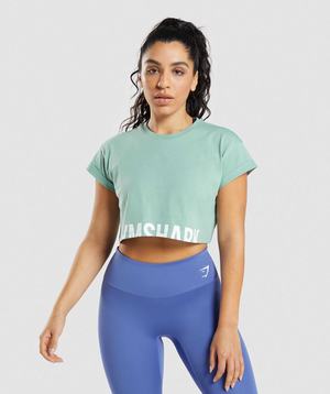 Blue Gymshark Fraction Crop Women's Tops | VFXTYS964