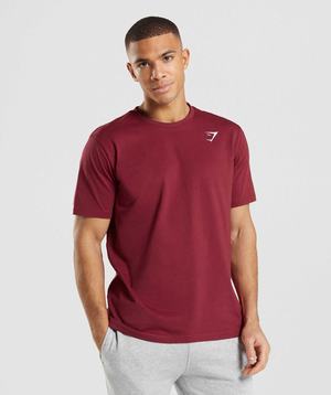 Burgundy Red Gymshark Crest Men's T Shirts | XHOFGL921