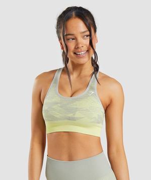 Grey Brown Grey Gymshark Adapt Ombre Seamless Women's Sports Bra | YIRKUB280