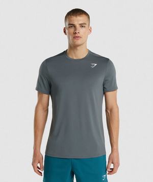 Grey Gymshark Arrival Regular Fit Men's T Shirts | GRBLMS590