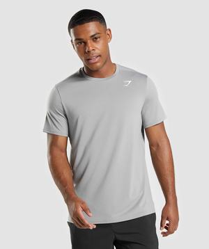 Grey Gymshark Arrival Regular Fit Men's T Shirts | TBOUWC752