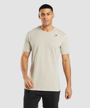 Grey Gymshark Essential Men's T Shirts | GCHBXD452