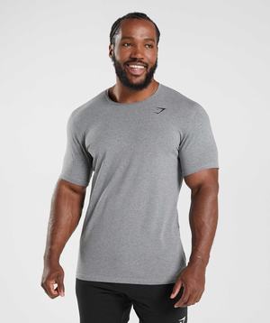 Grey Gymshark Essential Men's T Shirts | NLYAEX083