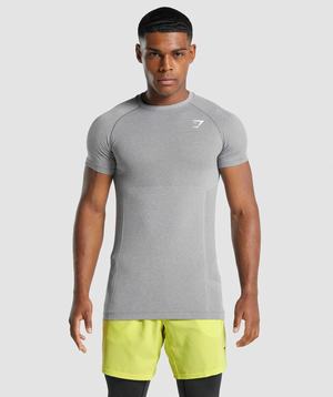 Grey Gymshark Vital Light Seamless Men's T Shirts | SJDMAU281