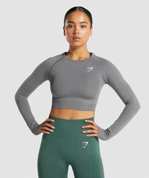 Grey Gymshark Vital Seamless 2.0 Long Sleeve Crop Women\'s Tops | WZOFPL471