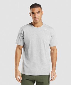 Light Grey Gymshark Crest Men's T Shirts | PCUNVZ357