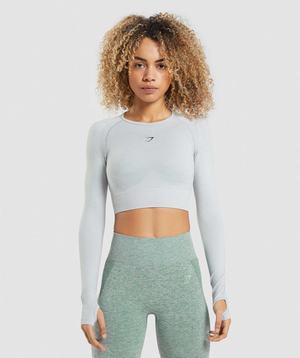 Light Grey Gymshark Flex Sports Long Sleeve Crop Women's Tops | CDGSNB167