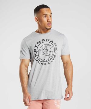 Light Grey Gymshark Legacy Men's T Shirts | CQBFGY612