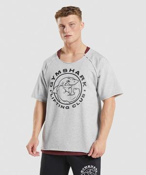 Light Grey Gymshark Legacy Rag Men's T Shirts | MUPCST157