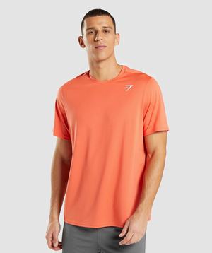 Orange Gymshark Arrival Regular Fit Men's T Shirts | OJDBYT941