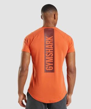 Orange Gymshark Bold Men's T Shirts | CQLKST176