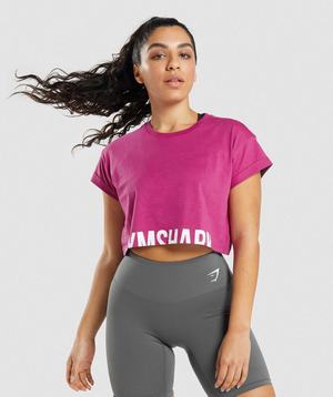 Pink Gymshark Fraction Crop Women's Tops | SWFTUE268