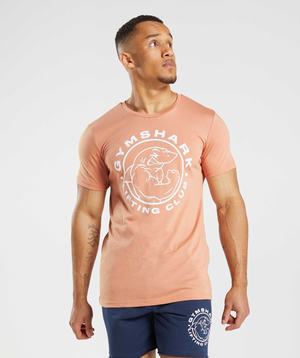 Pink Gymshark Legacy Men's T Shirts | EBIUCL148