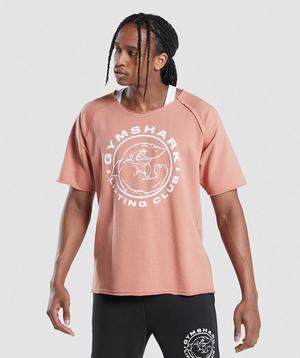 Pink Gymshark Legacy Rag Men's T Shirts | EDWKVH271