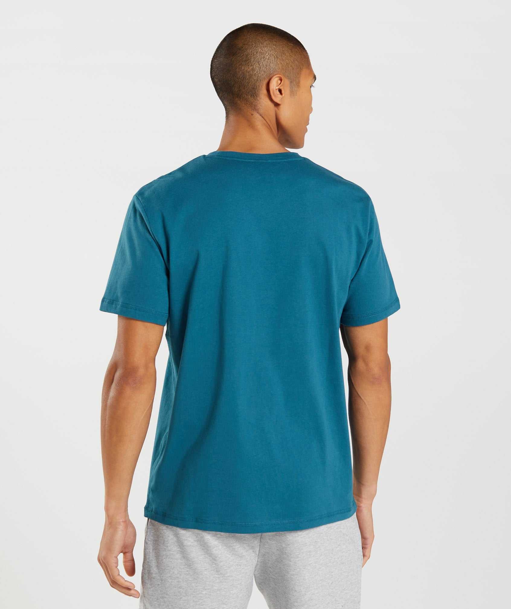 Blue Gymshark Sharkhead Infill Men's T Shirts | QKPEGV371