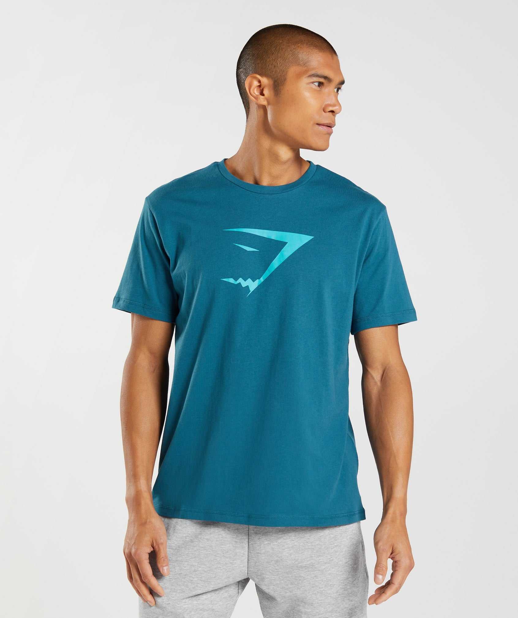 Blue Gymshark Sharkhead Infill Men's T Shirts | QKPEGV371