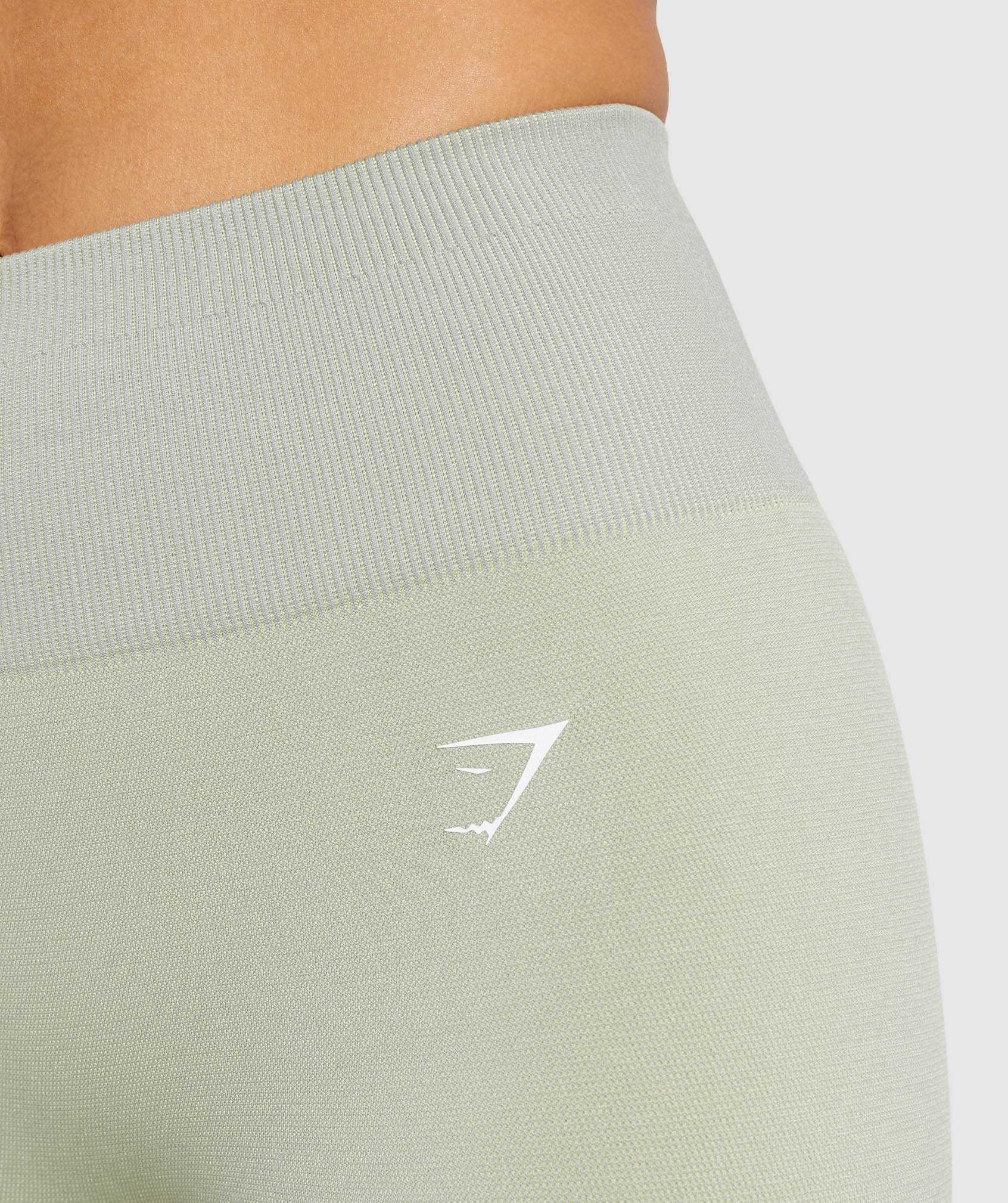 Grey Brown Grey Gymshark Adapt Ombre Seamless Women's Leggings | AHJVMN871