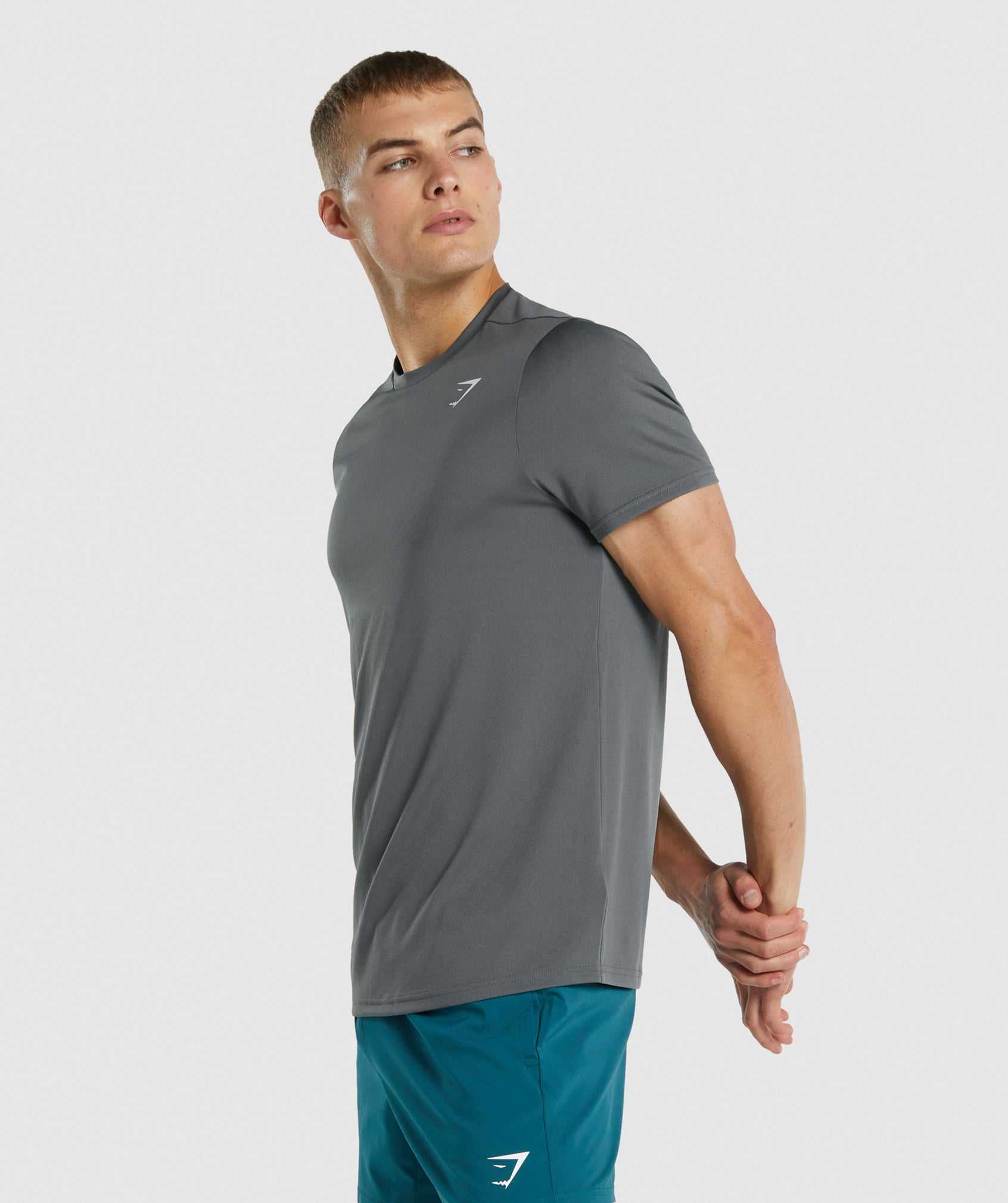 Grey Gymshark Arrival Regular Fit Men's T Shirts | GRBLMS590