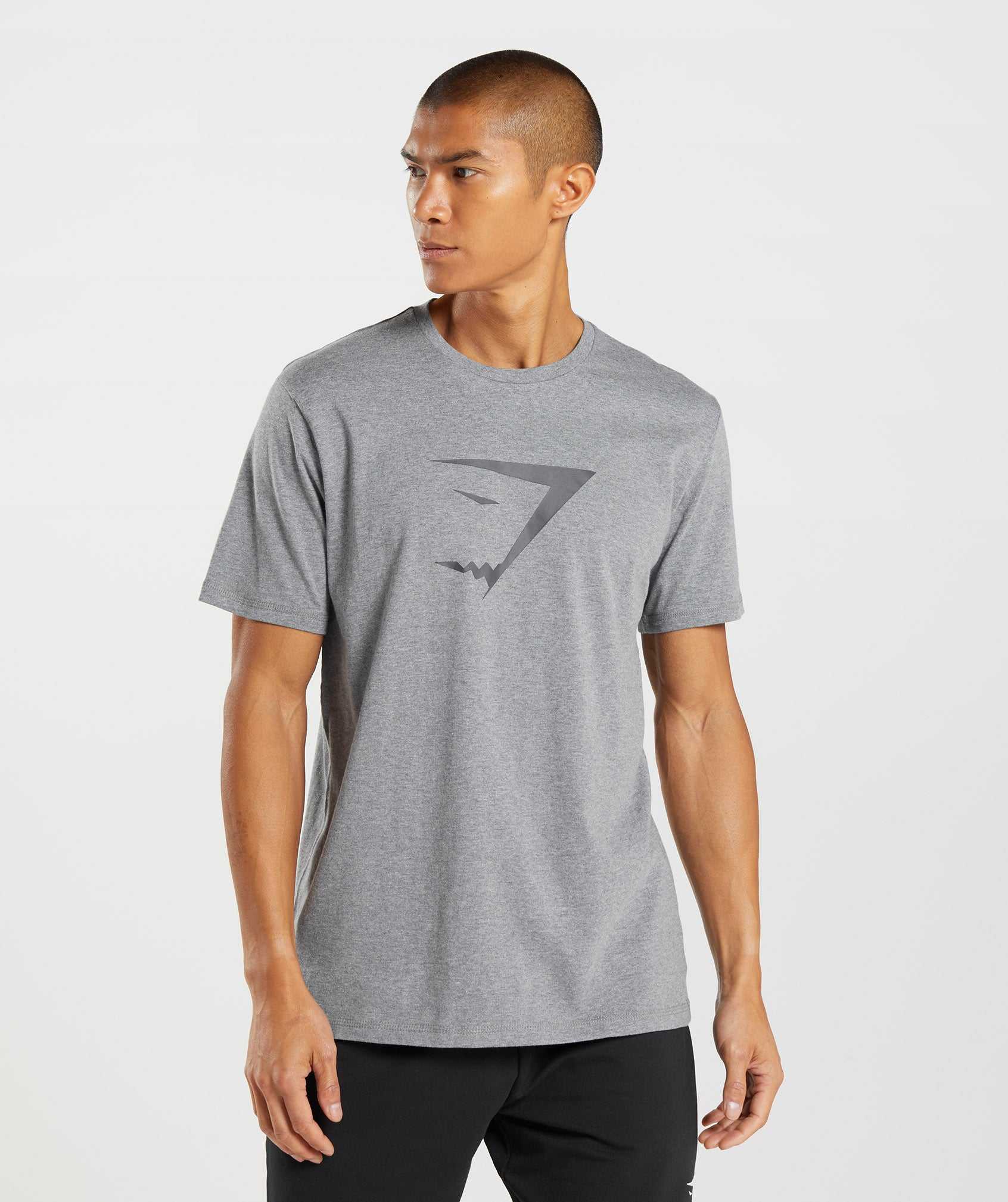 Grey Gymshark Sharkhead Infill Men\'s T Shirts | KLYNCW094