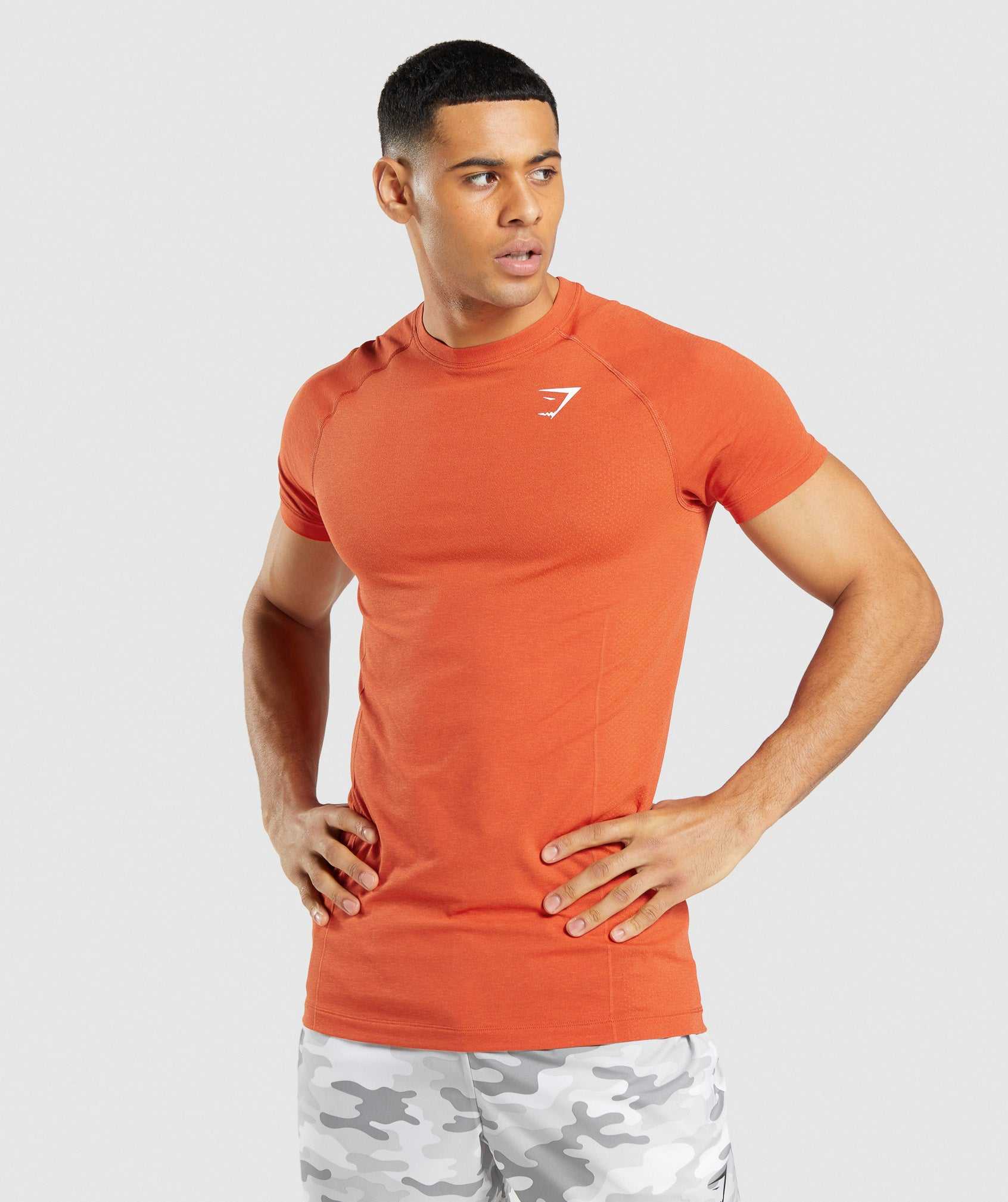 Orange Gymshark Vital Light Seamless Men\'s T Shirts | PAQZCM501