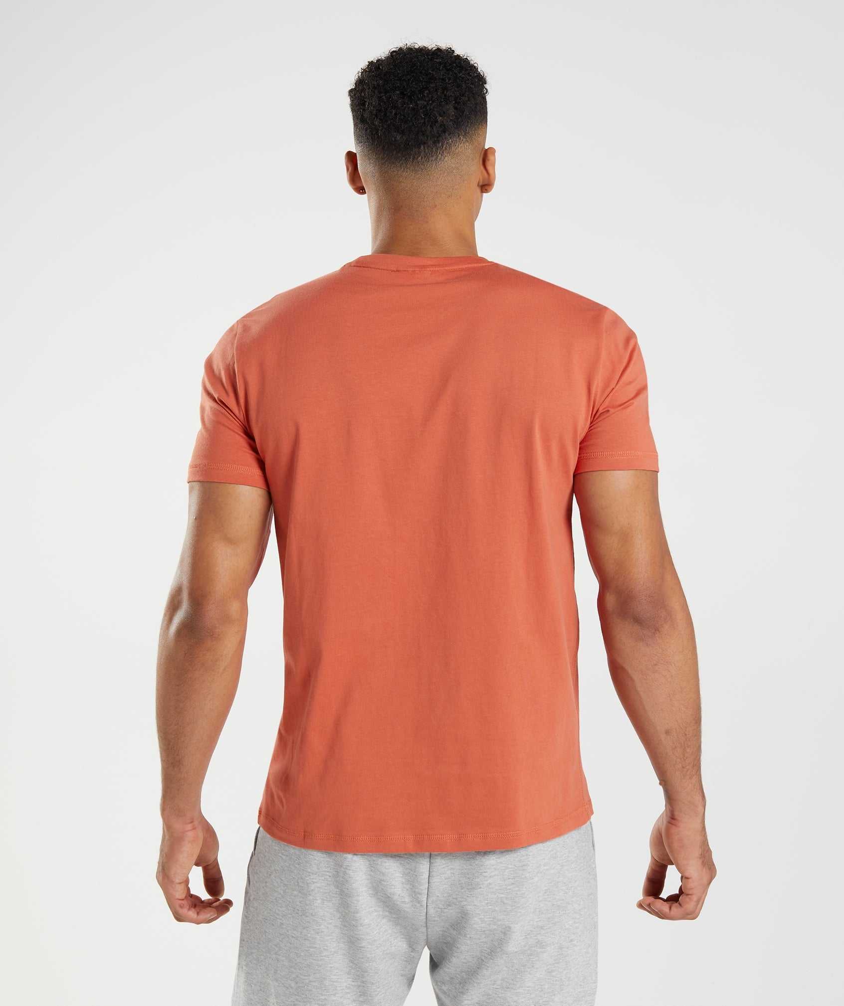 Red Gymshark Sharkhead Infill Men's T Shirts | ODCYEZ305